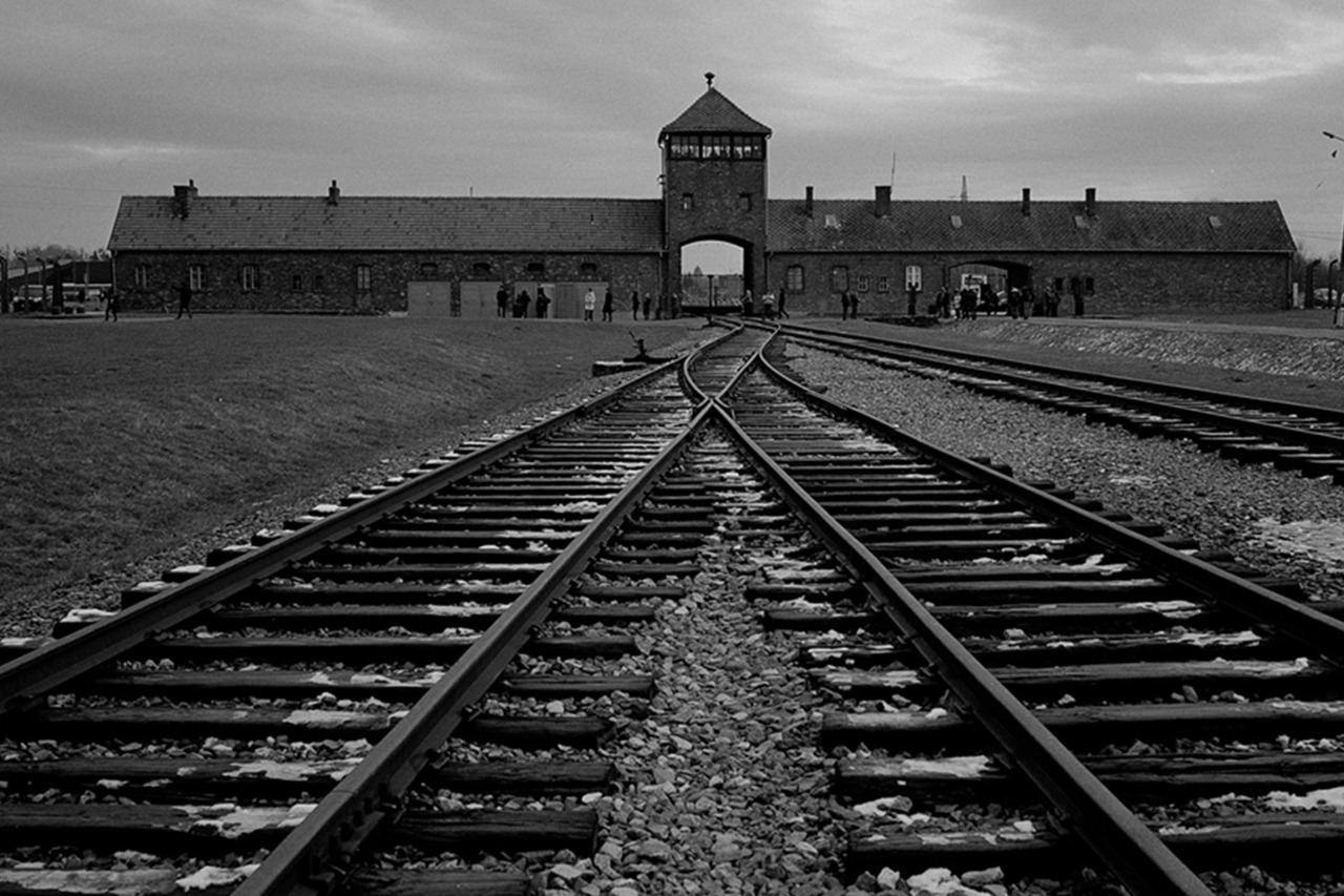 【2020新片连载】【纪录片.Ch4.奥斯维辛集中营.彩色版.Auschwitz_手机新浪网