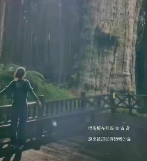 QQ截图20220806182752.jpg